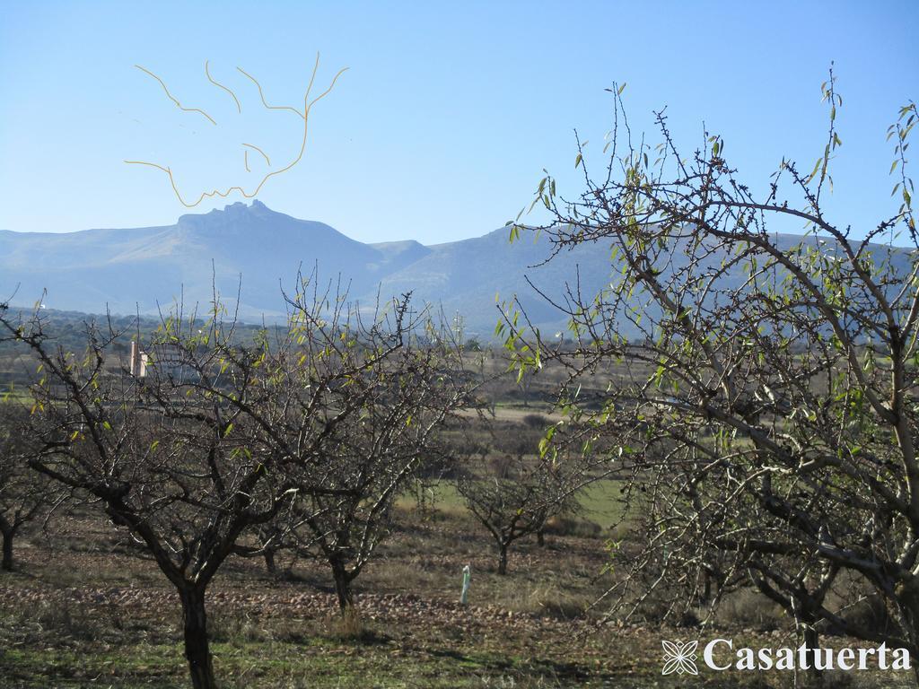 Casa Tuerta Villa Alcalá de Moncayo Eksteriør billede