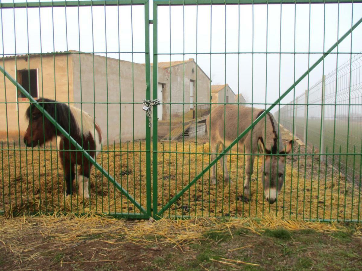Casa Tuerta Villa Alcalá de Moncayo Eksteriør billede