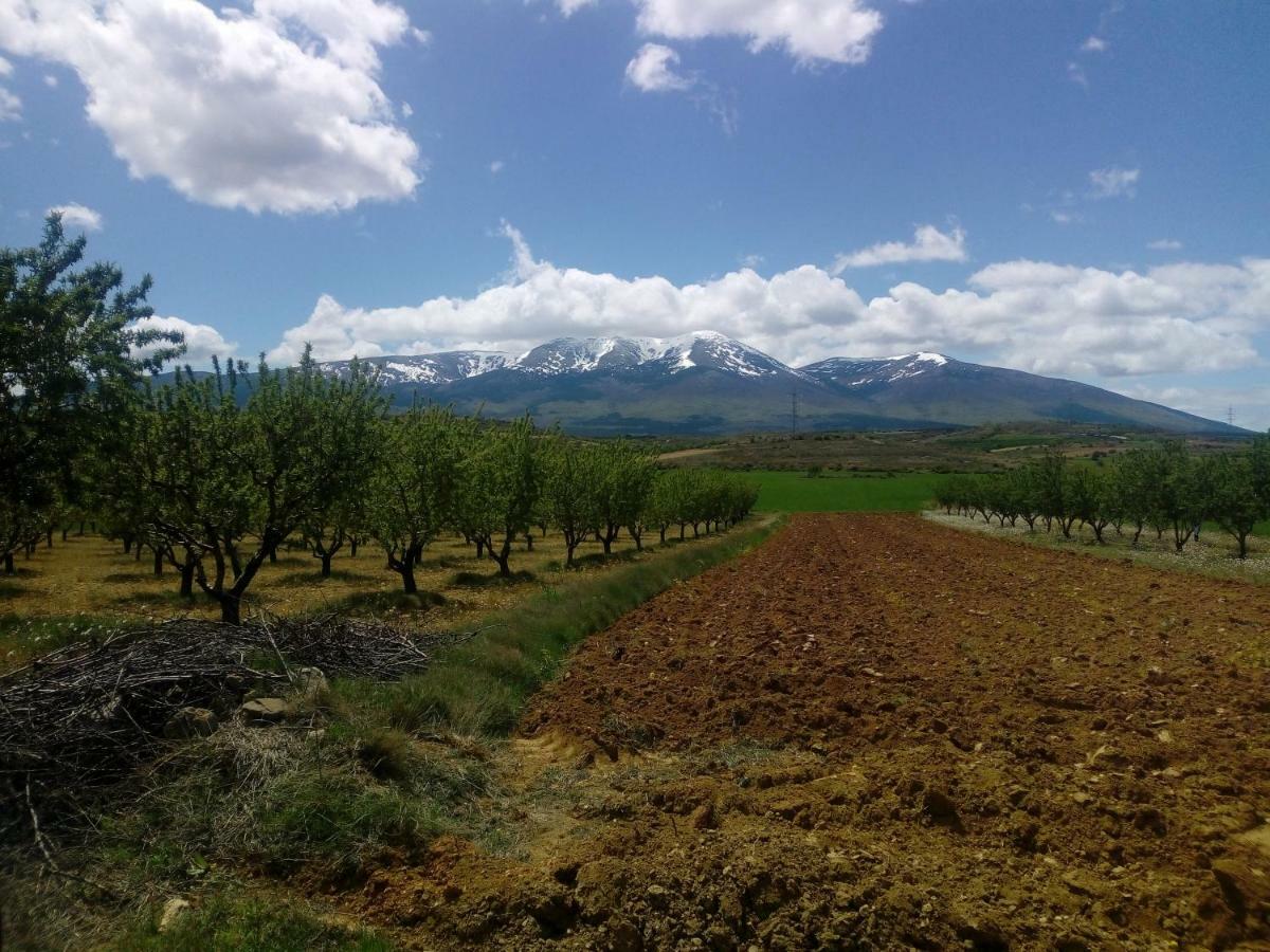 Casa Tuerta Villa Alcalá de Moncayo Eksteriør billede